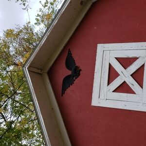 Bald eagle barn find